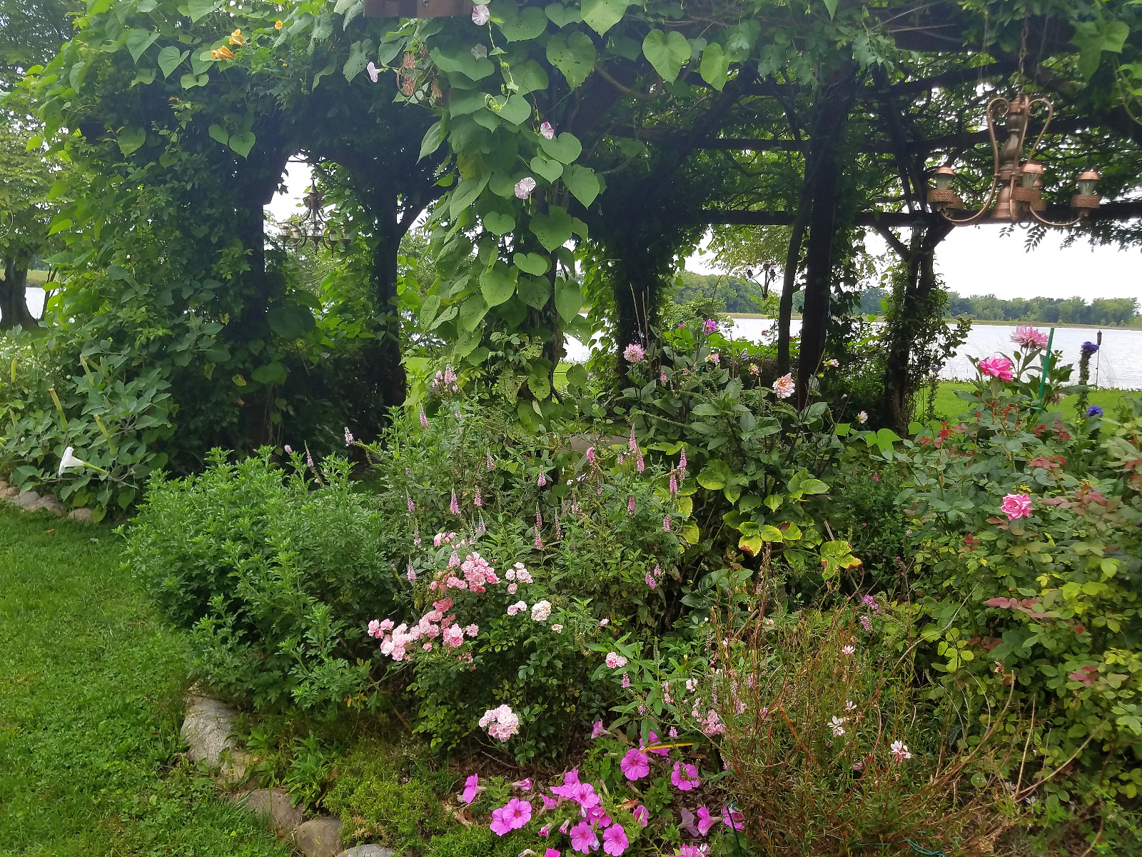 What beautiful fall color; they don't have to be yellows and oranges